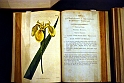 Museo Di Scienze Naturali - Le iris tra botanica e storia 10